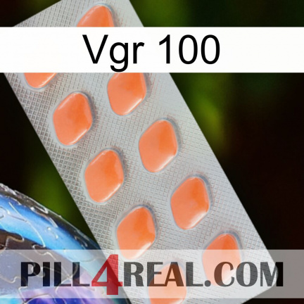 Vgr 100 26